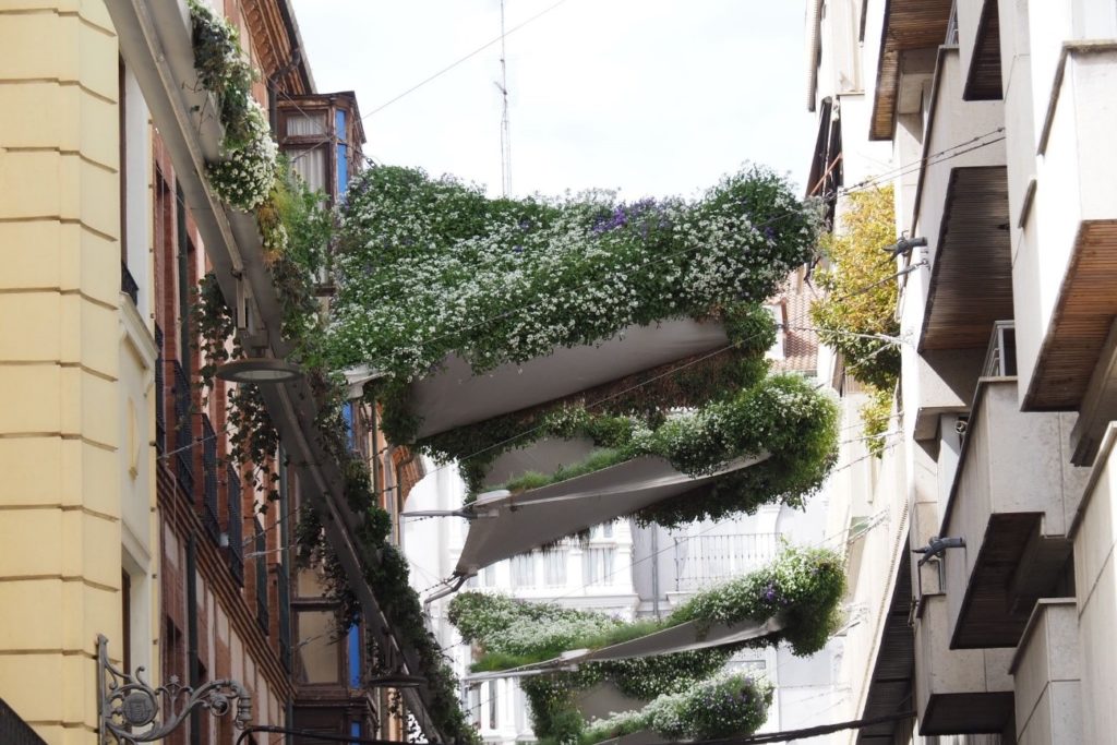 Llena tu hogar de vida y frescura con Toldos Vegetales