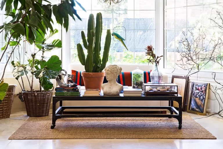 Un oasis plantas de interior